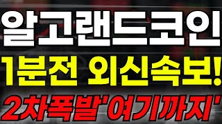 🔴[알고랜드]🔥1분전 외신속보 공유!!🔥2차폭발 \