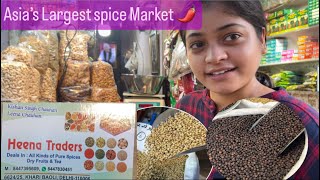 Asia ki Sabse badi masala Market | A WOMAN in MALE dominated Market | Spice Market Delhi