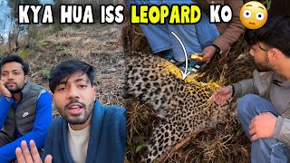 What Happened To This Leopard🐆😮 || Sanjay Chauhan