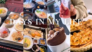 [ vlog ] 2 Day 1 Night Trip to Hakone｜Travel with Childhood Friends｜Making Apple Pie