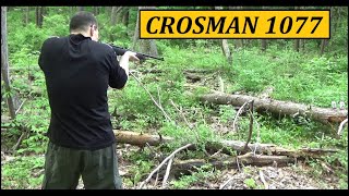 Crosman 1077 Pellet Rifle ($45-70) 12 Shot Repeater, Shooting Review - No Can Shall Live