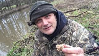 Two species of fish this time from the River Stour