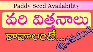 వరి విత్తనాలు మంచివి కావాలా? Paddy Seed Availability in A.P.