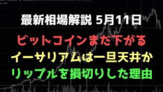 リップルを半分売りました｜ビットコインまだ下がる｜ビットコイン、イーサリアム、リップルの値動きを解説