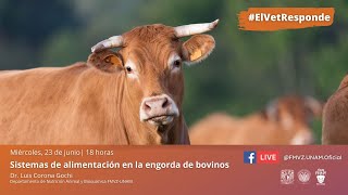 Capítulo 22 #ElVetResponde - Sistemas de alimentación en la engorda de bovinos