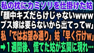 【スカッとする話】私の枕にカミソリを仕掛けた姑「顔中キズだらけじゃないwwwブス嫁は要らないから出てってw」私「ではお望み通り」姑「早く行けw」➡︎１週間後、慌てた姑が玄関に現れ…【修羅場】