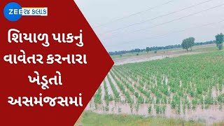 Patan BREAKING: પાટણમાં શિયાળુ પાકનું વાવેતર કરનારા ખેડૂતો અસમંજસમાં | Farmers News on ZEE 24 Kalak