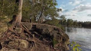 Walking the Lake Parramatta Reserve Trails | See What to Expect Before You Visit