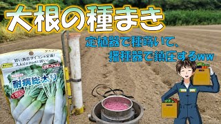 【大根の種まき】予定通り雨降らなかったけど、なんとか発芽してくれました。ほんと良かった～。