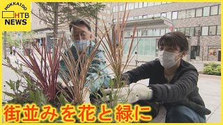 花と緑があふれる街並みに　札幌中心部で季節の花植え