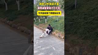 和老公吵架闹矛盾了，来闺蜜家住了十几天，想要冷静一下，没想到突然收到了离婚协议书。