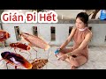 Gián Rất Sợ Thứ Này, Dùng 1 Lần Gián Trong Nhà Bỏ Đi Hết Không Cần Tốn Tiền Mua Thuốc