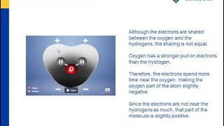 Water Is A Polar Molecule