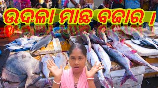 ଉଦଳା ମାଛ ବଜାର || Fish market in Udala (@SairamBlogchannel )