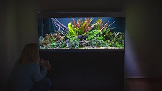 THIS 100 GALLON AQUASCAPE WILL EXPAND YOUR MIND (mindful)
