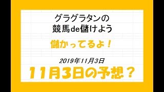 グラグラタンの競馬予想！？　１１月３日（日）分