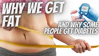 Digestion, Obesity & Diabetes Explained Simply