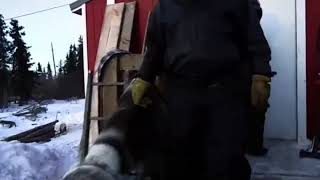 Life Below Zero Chip And Agnes Hailstone