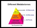 Introduction to Metabolomics