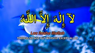 LAILAHAILLALLAH: Sleep Dzikir For Reduce stress #70