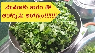 మునగాకును వండే పద్ధతి మీకు తెలుసా?? ❗Moringa Fry Recipe