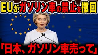 日本に助けを求めるEU！EVはやっぱりダメだった…EVは諦めた！【ゆっくり解説】