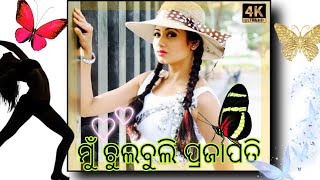 🥀ମୁଁ ଚୁଲବୁଲି ପ୍ରଜାପତି 💕New Odia Black screen whatsapp status 🥀 Archita New Odia Whatsapp Status