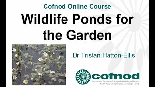 Wildlife Ponds for the Garden - Online Course