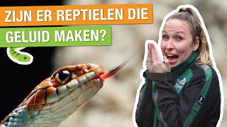 ACHTER DE SCHERMEN BIJ HET HONDERDDUIZEND DIERENHUIS! 🐍 | Carlijns Dierenvraag #77