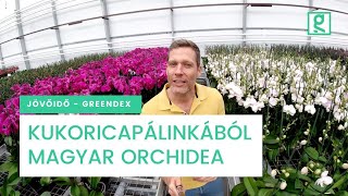 Kukoricapálinkából magyar orchidea? Körforgásos gazdaságban nem lehetetlen - Jövő idő | Greendex