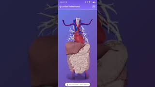 EduGames - a gamified learning platform