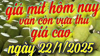 giá mít hôm nay ngày 22/1/2025