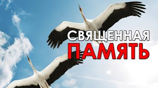 Священная память. «Вечерний Ейск» от 2021.05.12