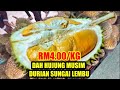 RM4-5/KG DURIAN SG LEMBU BALING, HARGA HUJUNG MUSIM JLN CHEROK TOK KUN, DURIAN BALIK PULAU PENANG.