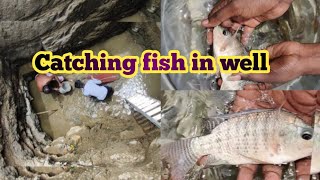 #cjdaquapro Catching fish in well #catchingfish #catchingfishinwell #fishing #fishingvideo