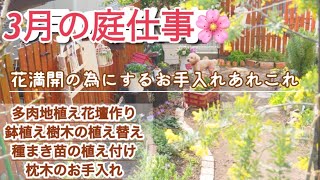 【春待ちガーデニング】鉢植え樹木の植え替え/寄せ植えの解体/種まき苗の植え付け/多肉花壇作り