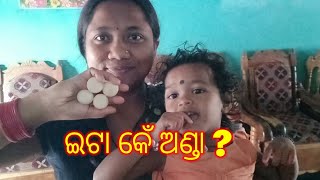 ଇଟା କେଁ ଅଣ୍ଡା 🥚🥚? କାମ୍ ଧାମ୍ କିଛି ନାଇ ଥିଲେ ଇ ସବୁ ଅସୁବିଧା||Ranjitacreation