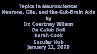 Topics in Neuroscience: Neurons, Glia, and the Gut-Brain Axis