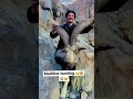 markhor hunting 😱😱😢 gilgitbaltistan pakistan markhor beautiful pakarmy tranding dailyvlog