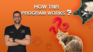 How TNR program works