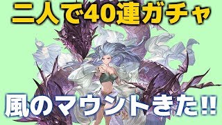 レジェガチャ二人で40連　夫婦のグラブル日記#260 お久復活!!