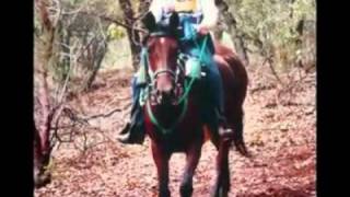 Tribute video to Emma McCrary on 80th birthday
