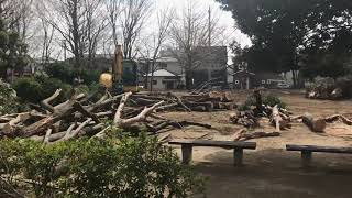 2020.2.29 吉川市　関公園