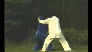 Taiji Style Chen : cours de Tui Shou par Wang Xian