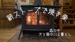 【nyan life】火を見ながらゆっくり過ごす／雨の日の過ごし方