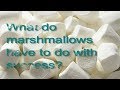 Marshmallow test - Emotional Intelligence (grit and resilience)