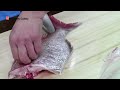 yoshihiro hongasumi deba 195mm how to fillet a red snapper