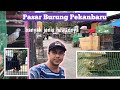 JALAN KE PASAR BURUNG PEKANBARU..TERNYATA SELAIN BURUNG BANYAK YANG LAIN #PAPAANDREW #TRAVEL