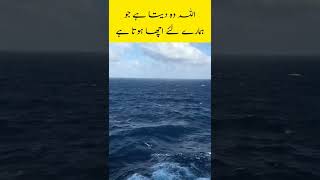 Islamic Quotes in Urdu | Whatsapp Status | shorts video