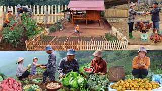 TIMELAPSE: 365 DAYS of harvest at the Tam and Lan farm | Daily life and Farm